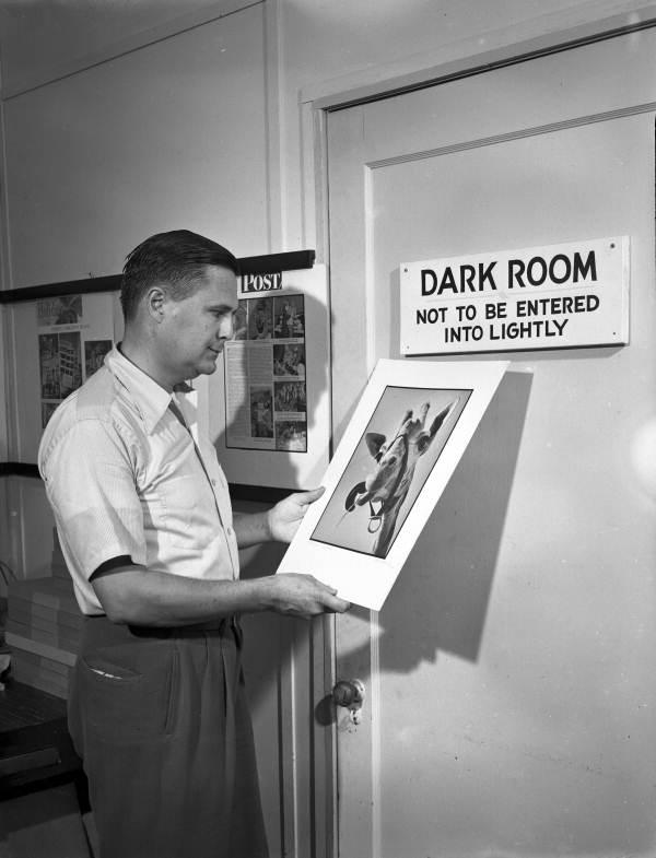 Joe Steinmetz looking at his photograph of a giraffe near the dark room at his studio in Sarasota, Florida.