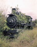 254453