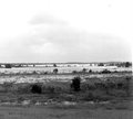 55500