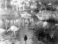67716