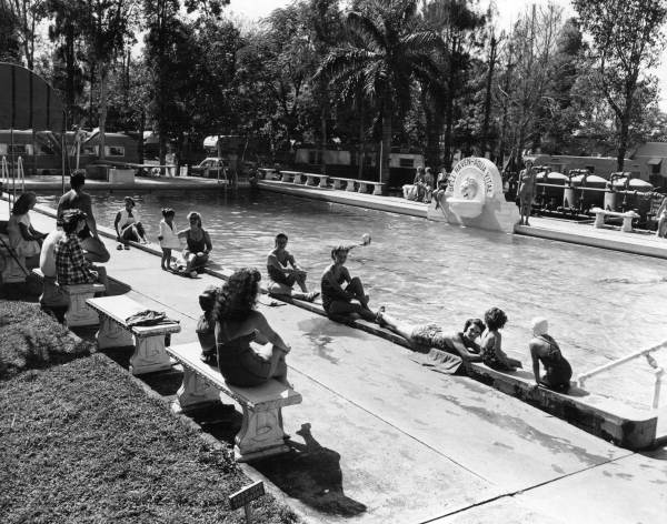 Residents at the pool at the Belle Haven Trailer Park - Miami, Florida 