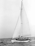 71657