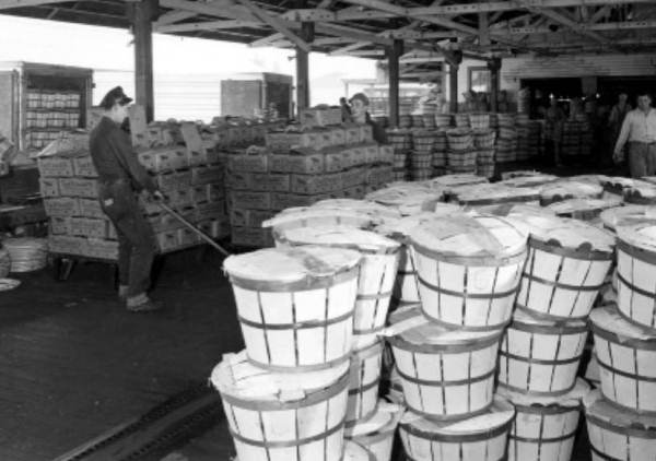 Packaged produce at Wauchula's farmers' market - Wauchula, Florida