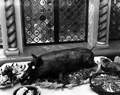 75776