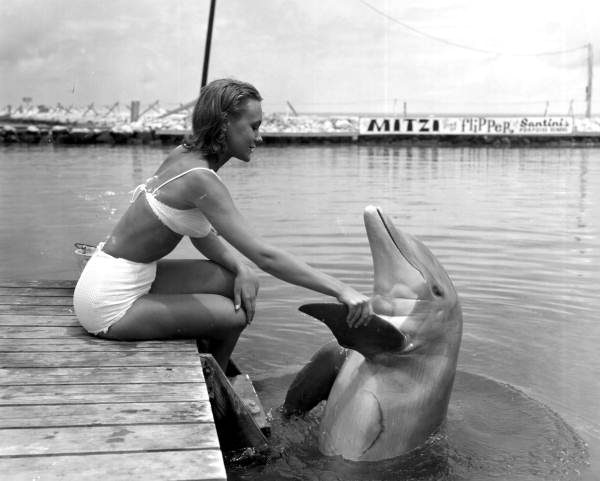 Woman shakes Flipper's flipper - Marathon, Florida