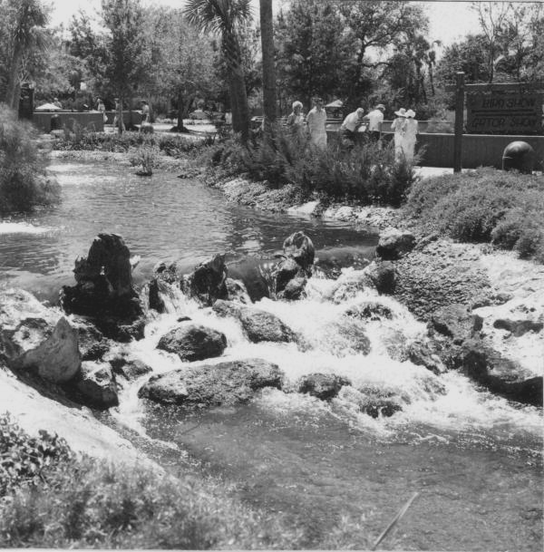 People near river rapids at Cypress Gardens- Cypress Gardens, Florida