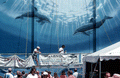 97770