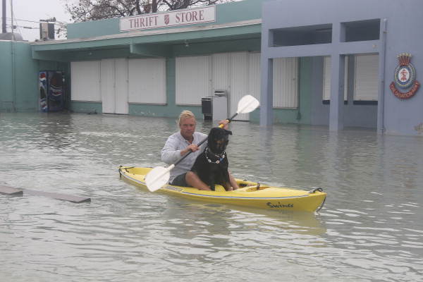 Man kayaking with dog on Flagler Avenue in front of the Salvation Army store - Key West, Florida