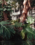 100778