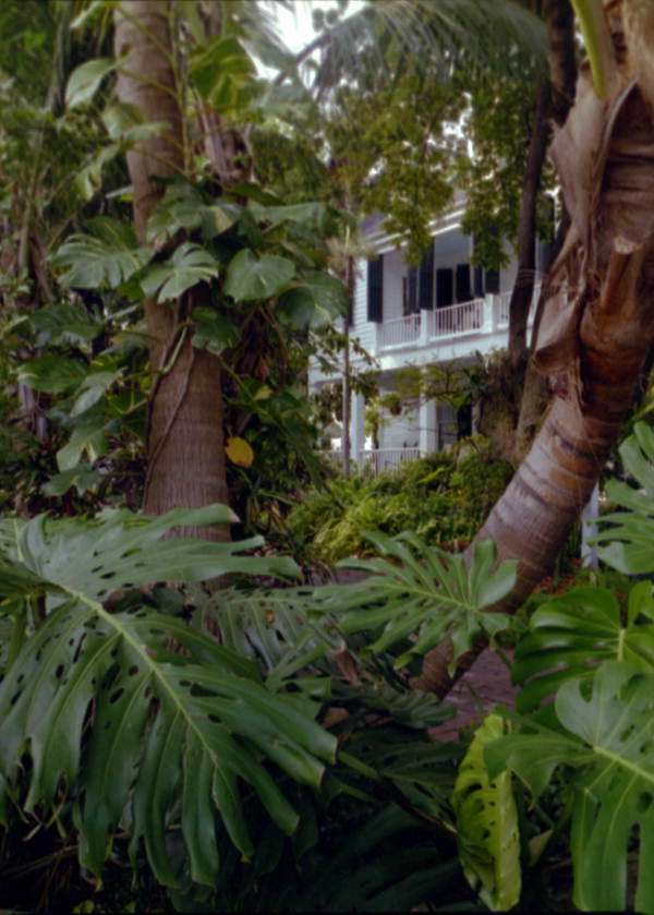 The Audubon House as viewed from Greene St., Key West, FL.