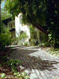 101169