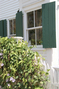 101354
