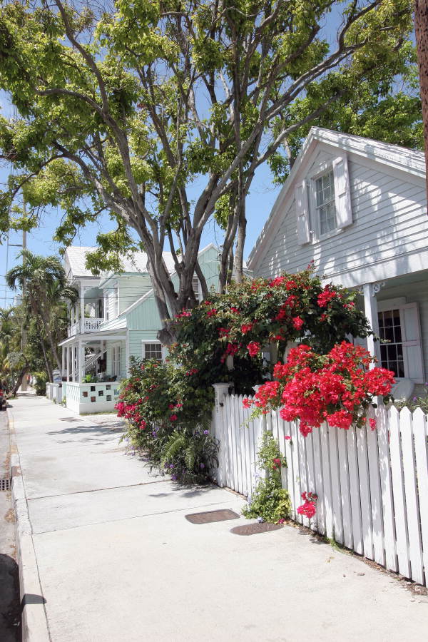 Scenic view showing conch house at 923 Southard Street - Key West, Florida