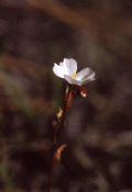 95480