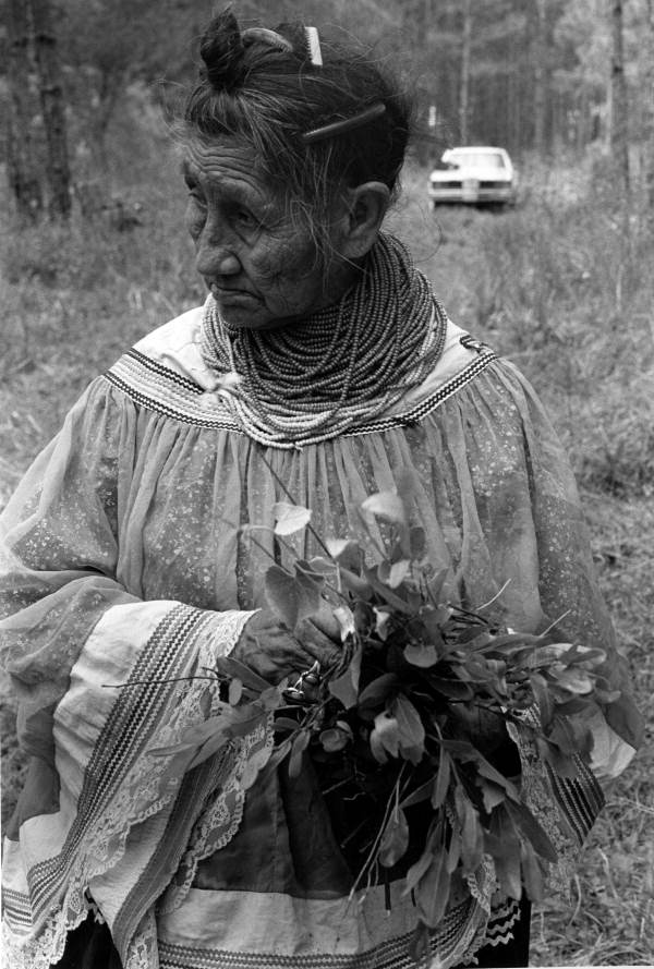 Susie Billie collecting medicinal plants and herbs- Big Cypress Seminole Indian Reservation, Florida