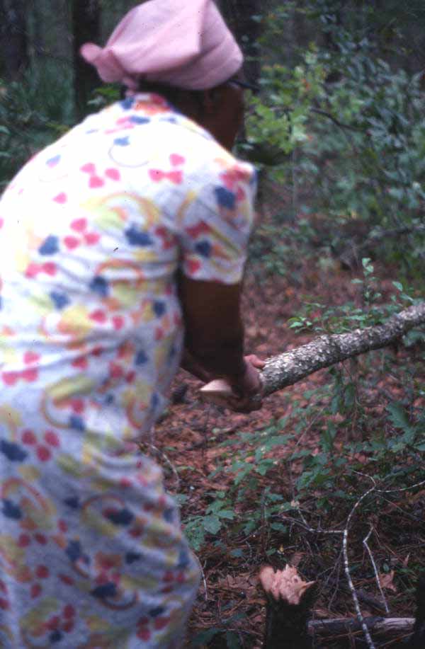 Lucreaty Clark grasping the white oak tree she chopped down to make baskets