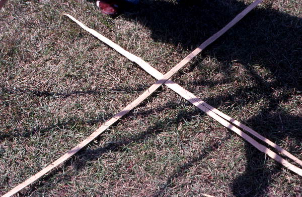 The beginning of a white oak basket being made by Lucreaty Clark
