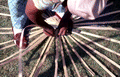 120025
