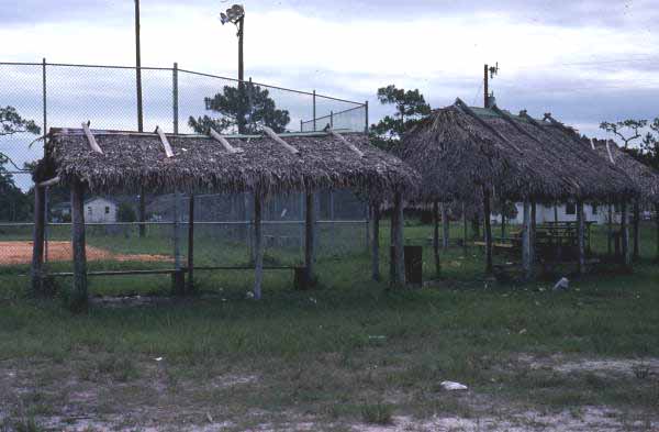 Seminole Indian chickee huts by baseball field at the Big Cypress Indian Reservation