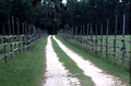 120597