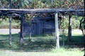 120634
