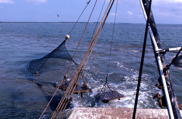 Trawl net approaches stern - Apalachicola Bay, Florida