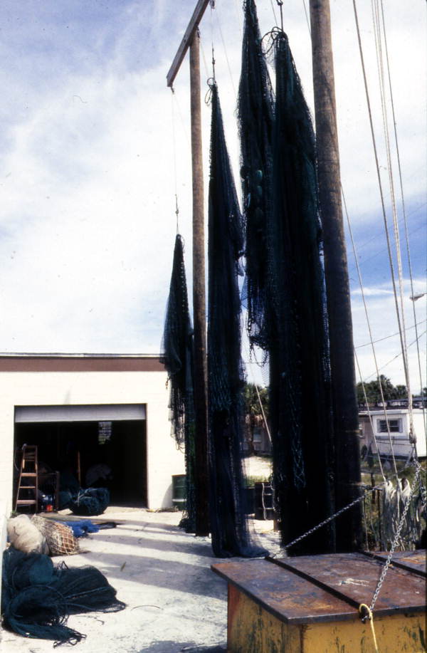 Shrimp nets - Jacksonville, Florida