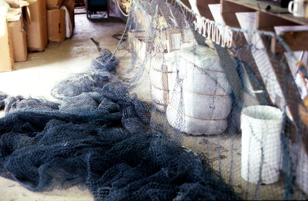 Shrimp nets - Jacksonville, Florida