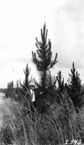 61958