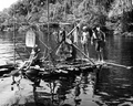 60768