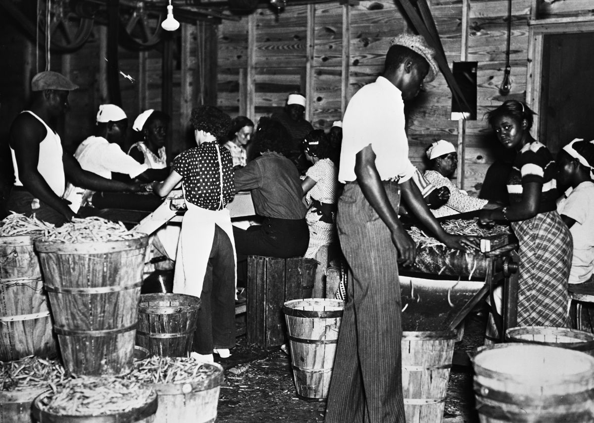 Migrant workers at a bean canning plant - Dania, Florida