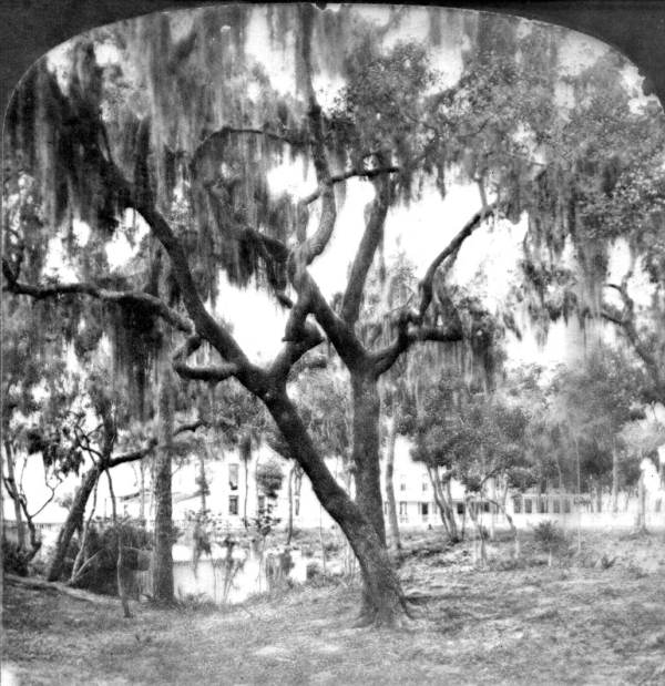 View of Green Cove Springs, Florida