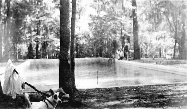 Swimming pool at John W. Martin's home on Lafayette Street