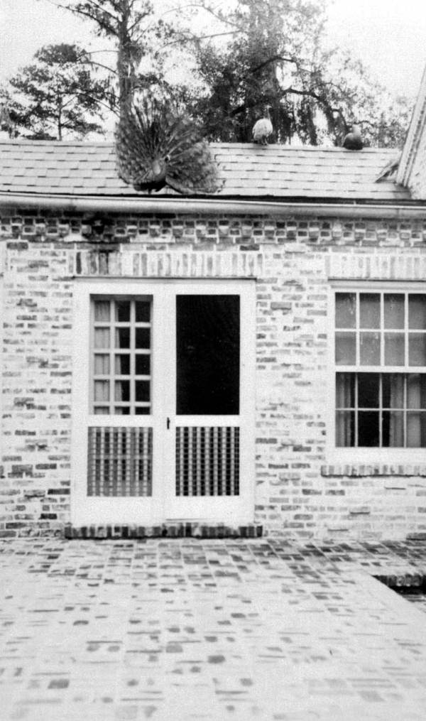 Entrance to the hallway of John W. Martin's home on Lafayette Street