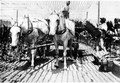 151891