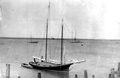155324