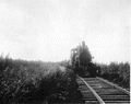 156706