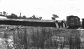 124516