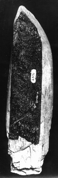 124540