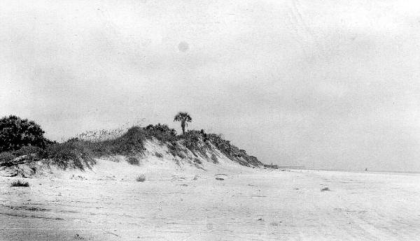 Two miles south of Jacksonville Beach, looking north along foot of dunes