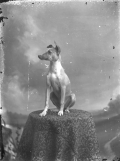 130406