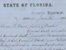 Presentation of Confederate Battleflag to Family of Colonel George T. Ward, 1862