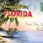 Postcard Collection