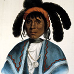 The Florida Seminoles