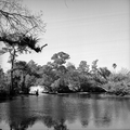 116304