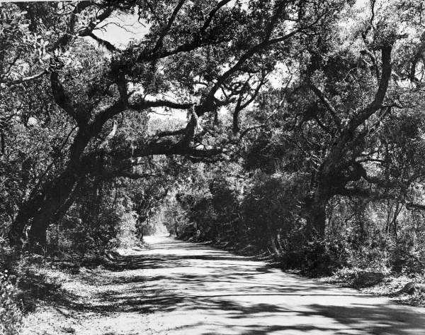 Houston Avenue, leading up to Kingsley Plantation State Park - Jacksonville, Florida