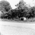 164276