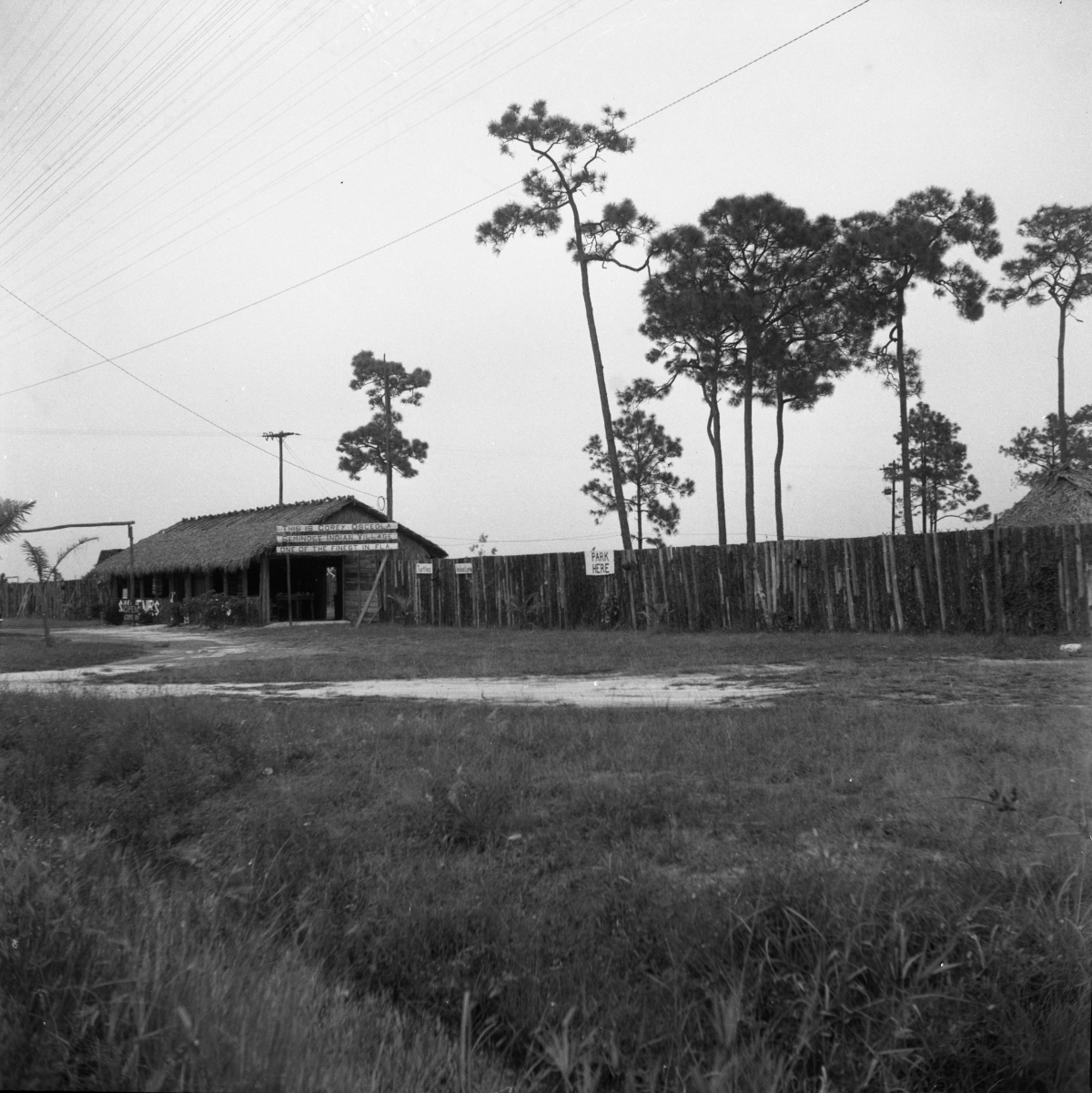 Cory Osceola Seminole Indian Village