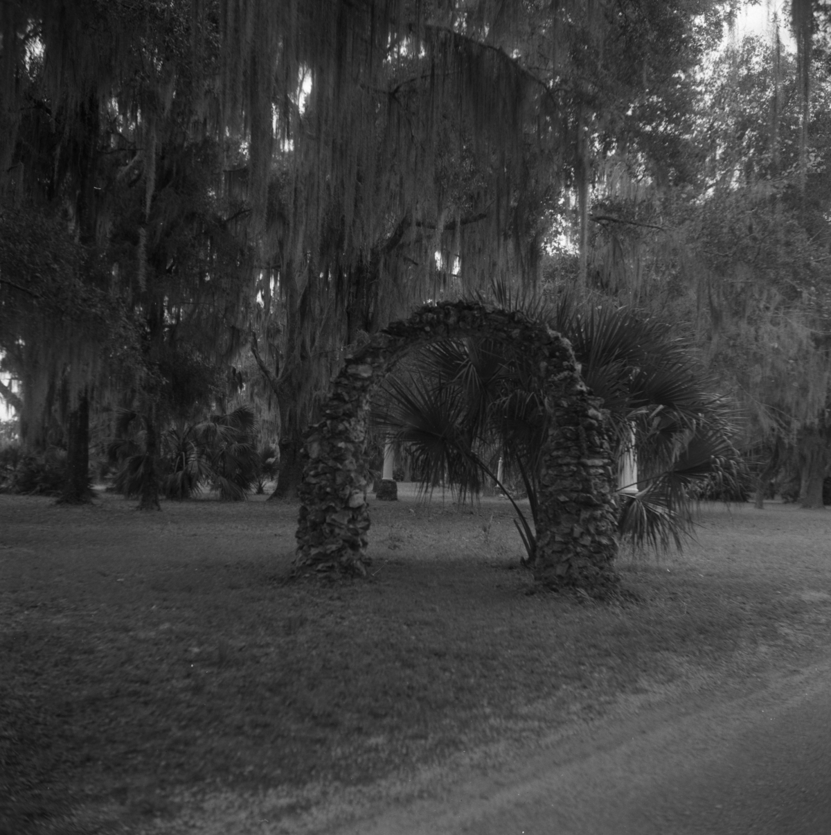 Arch and historical markers at Dade Battlefield Historic State Park: Bushnell, Florida
