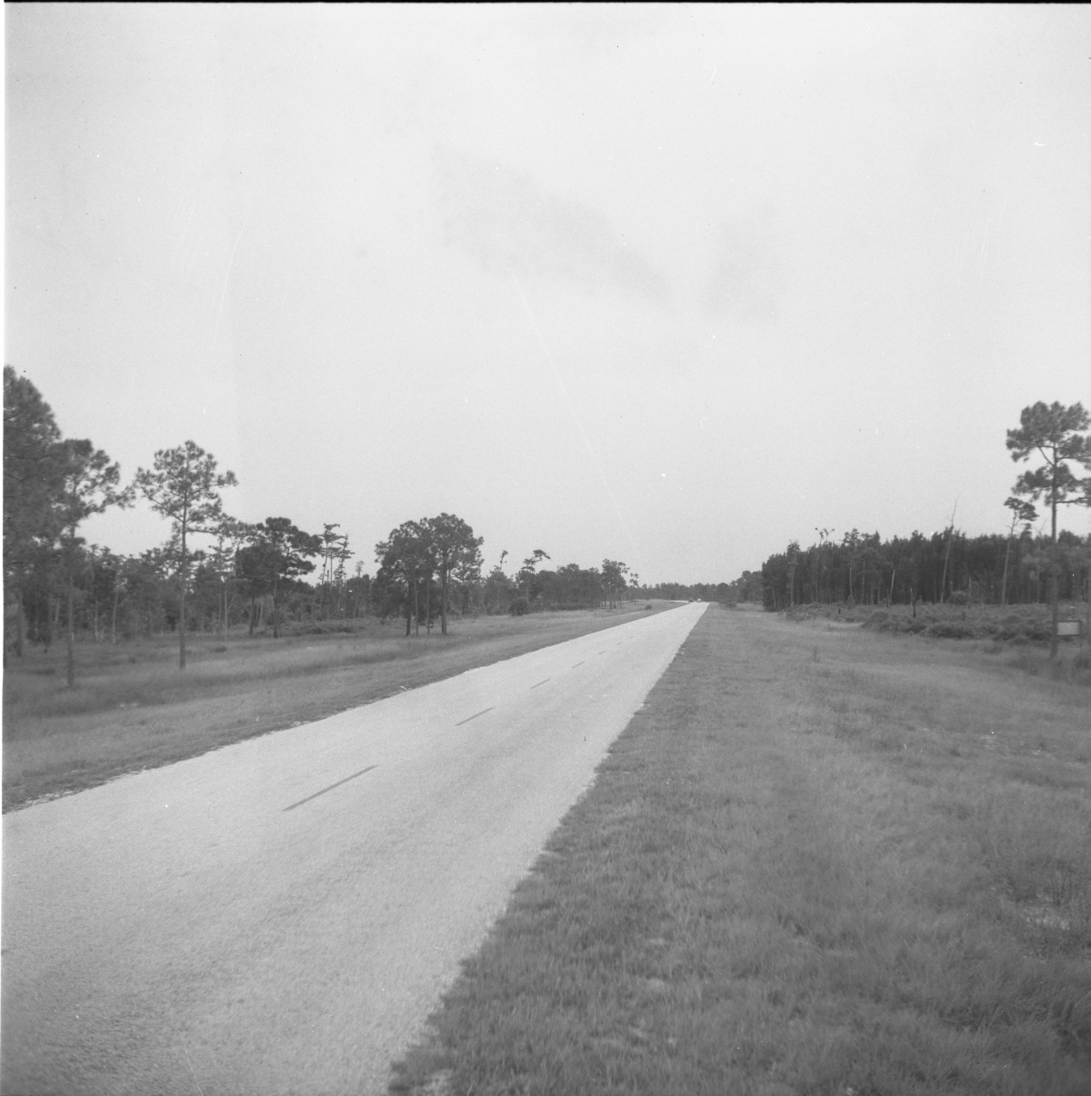 Tamiami Trail between Naples and Collier-Seminole State Park